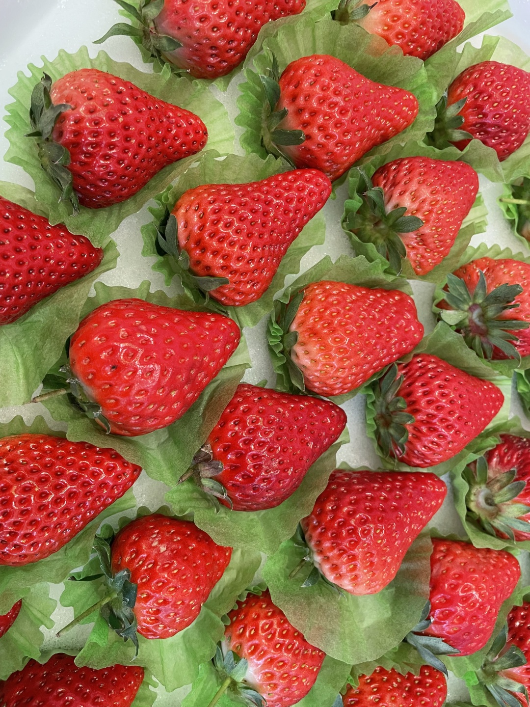 吃喝玩一体的天然温泉酒店,银河天然温泉洗浴和汗蒸