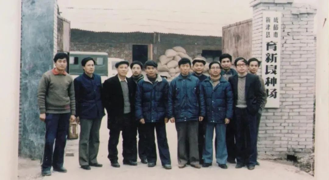 四川刘氏四杰是军阀后代吗,刘氏四杰