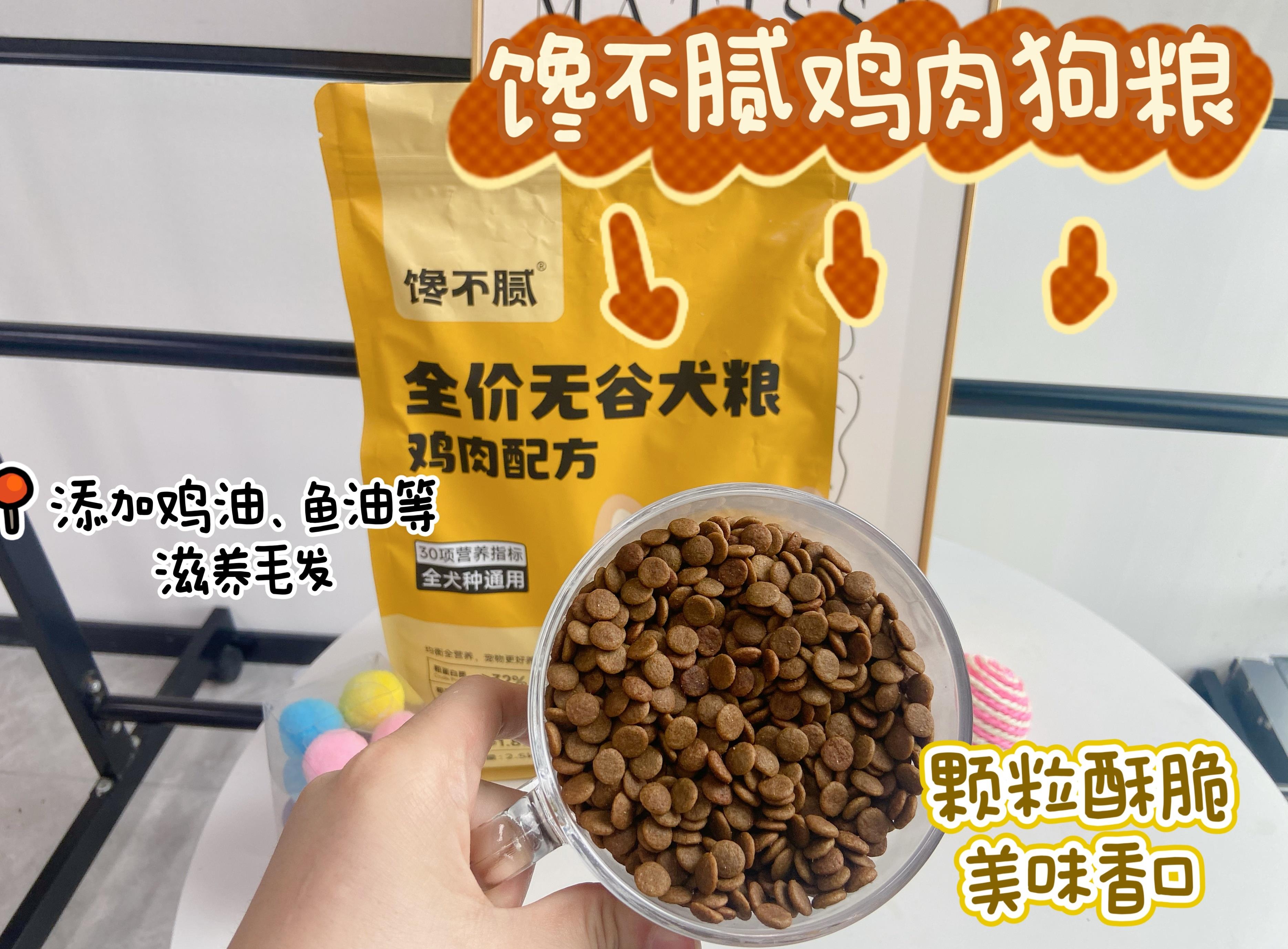 摸狗下巴笑得呲牙的狗狗,抚摸狗狗脑袋它是怎么想的