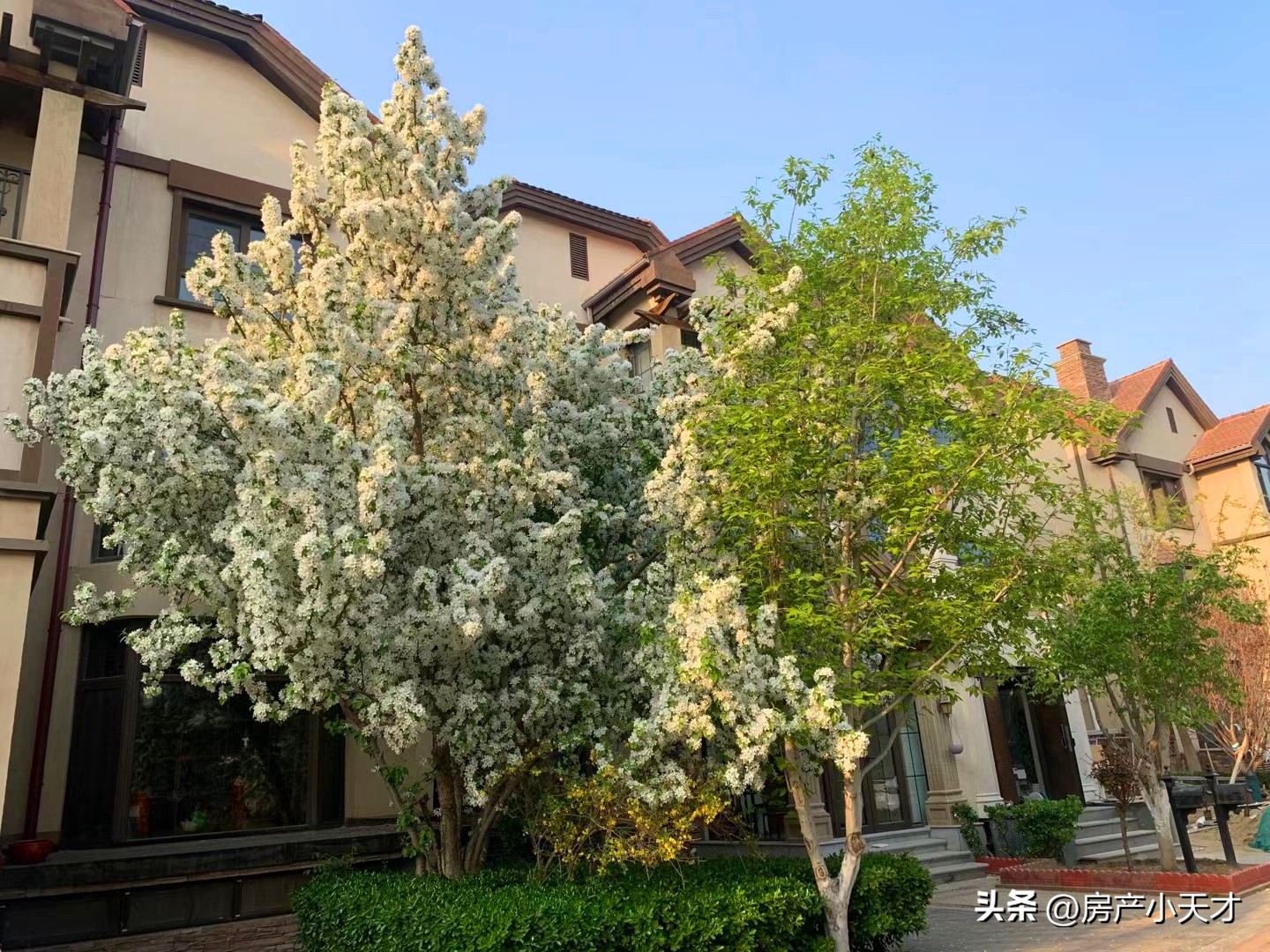 北京北苑最值得买的房子,北京北苑地区有哪些小区