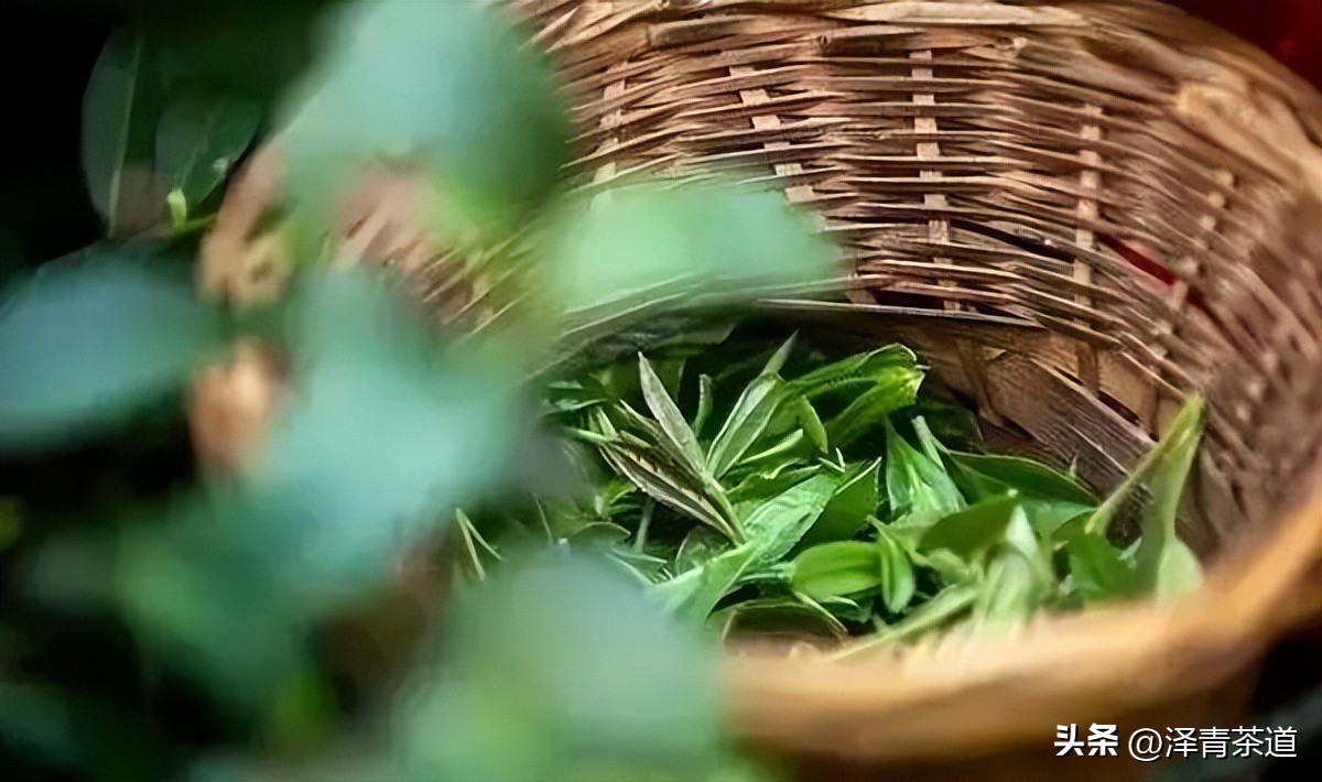 写春天的著名唐诗宋词加赏析,十首描写春天的宋词