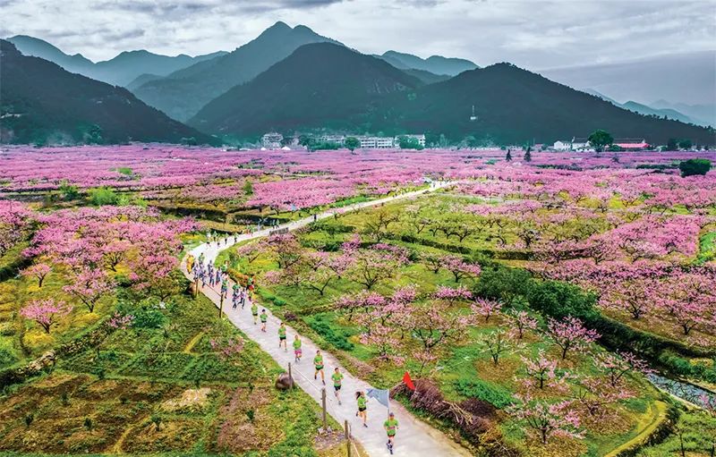 学习贯彻“千万工程”精神,深入践行千万工程