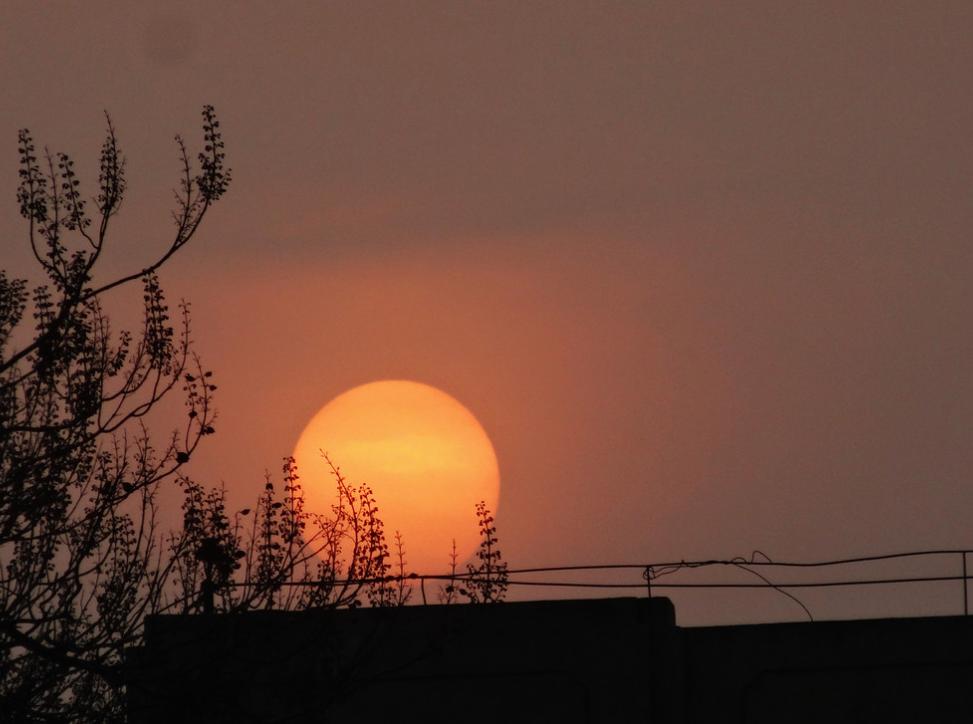 吉林女生在香港,吉林姑娘当尼姑