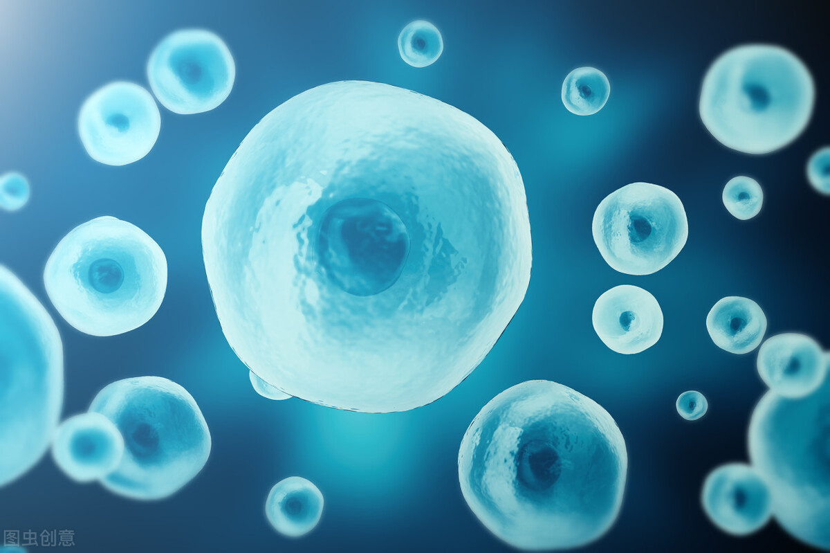 宇宙中最大的谜团——生命是怎么来的？为什么会出现生命？