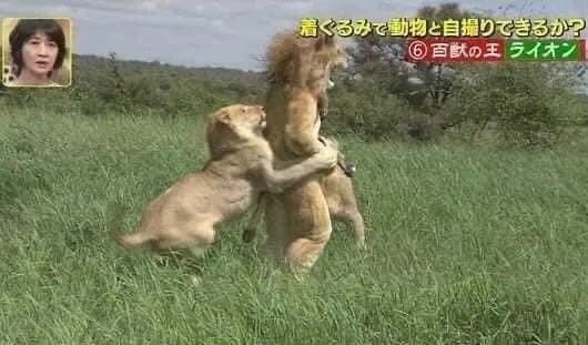 日本化痰止咳糖浆推荐,急支糖浆的效果