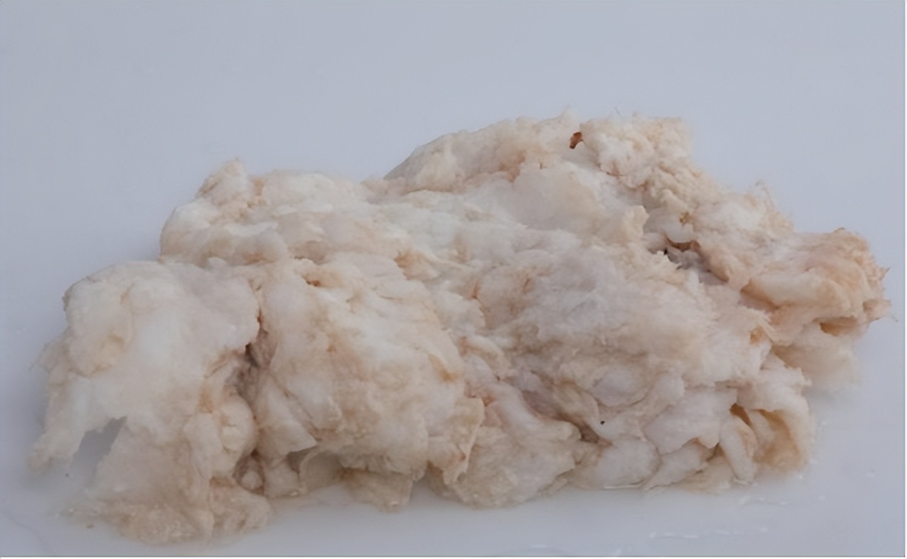 捡到200多斤的太岁能卖多少钱,大连男子捡到太岁