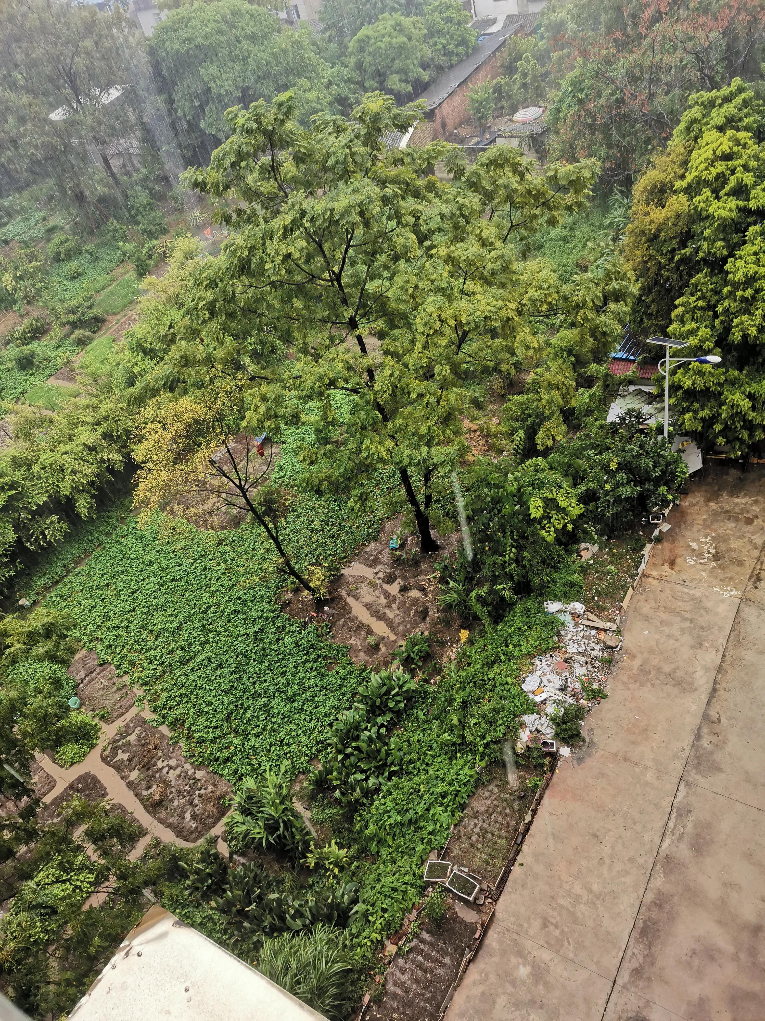 想要的生活副歌版,想要的生活女声版完整版