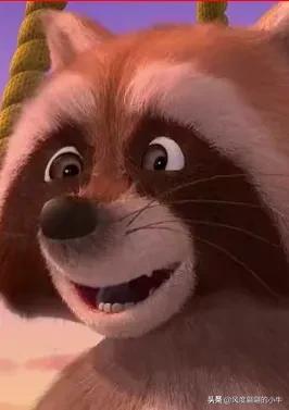 熊出没最厉害的角色,熊出没历代角色大全