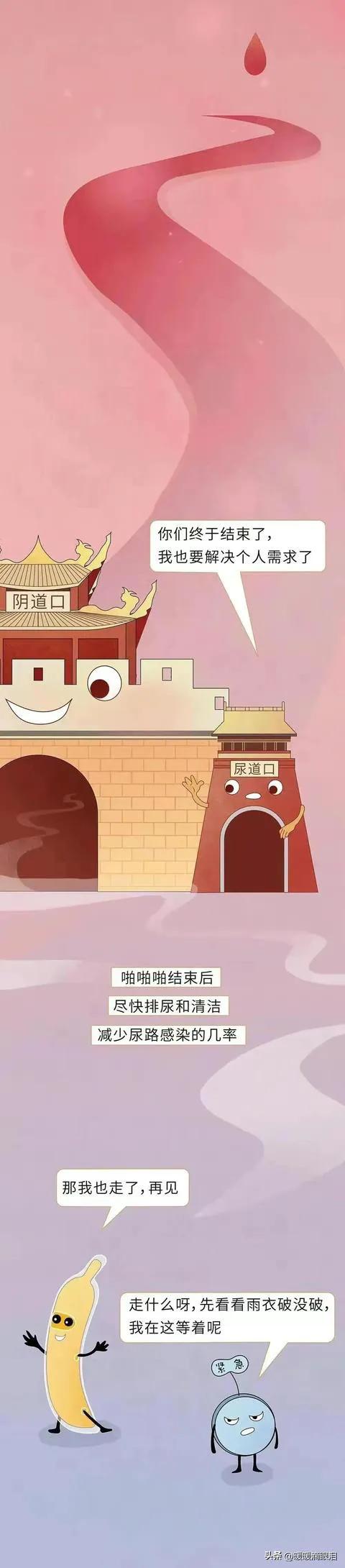 成年人如何了解性知识,普及正确的两性知识