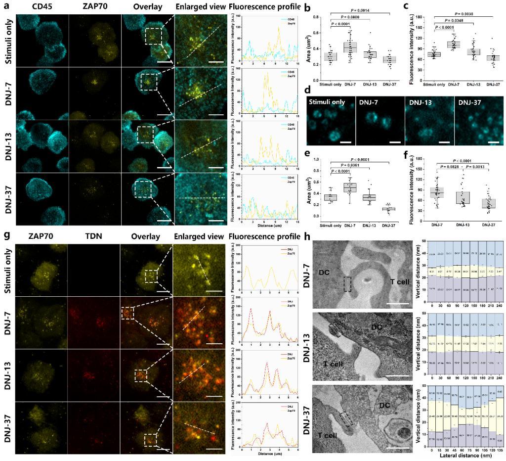 游客前来打卡,旅游打卡全国高校