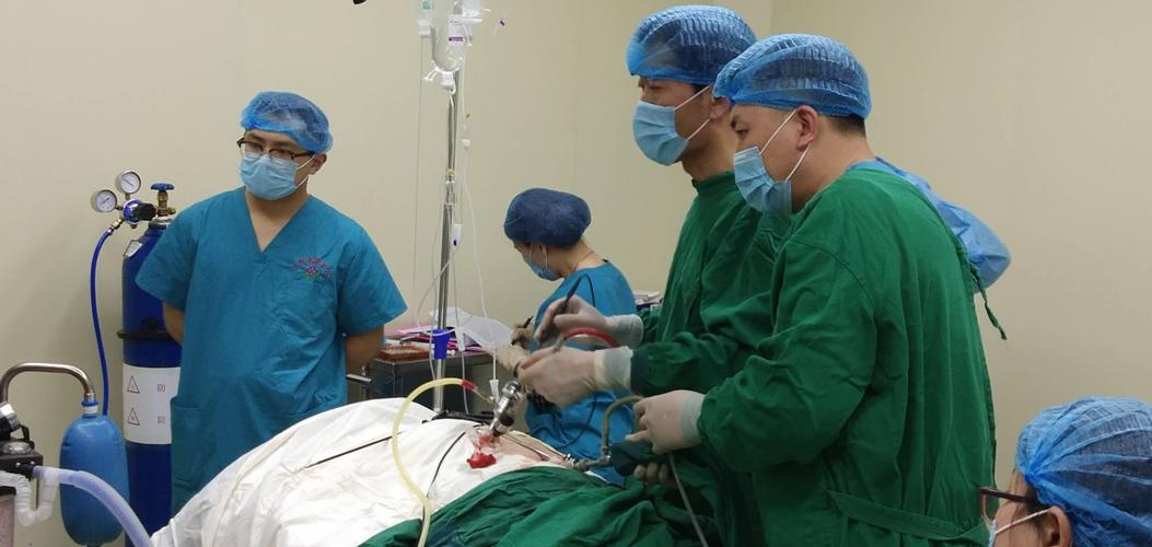 【科普】子宫内膜癌有两种类型，你了解吗？腹腔镜手术效果如何？