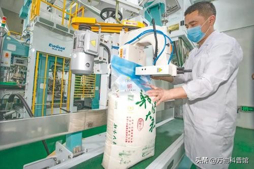 超市买的大米为什么煮不烂,为啥大米放超市里很久都不坏