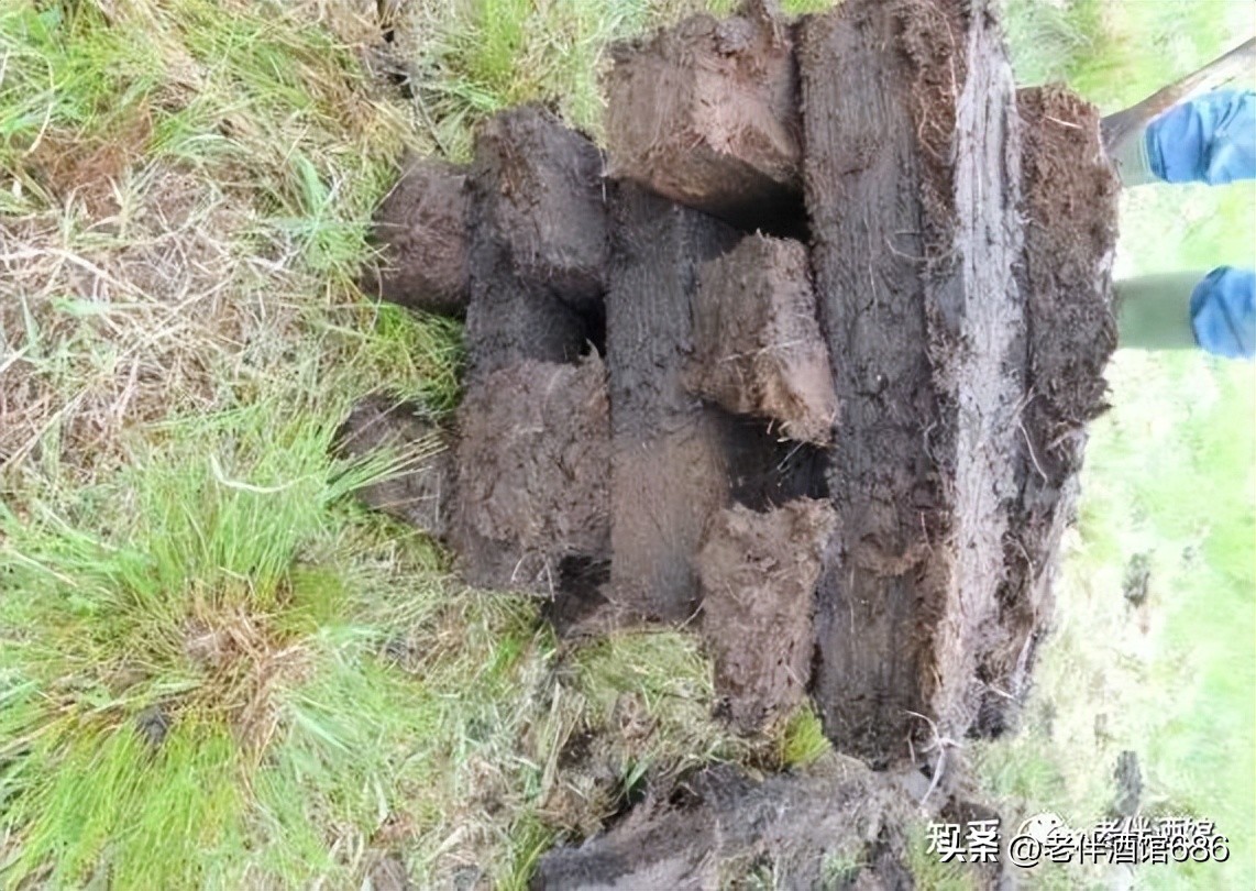 bowmore波摩单一麦芽威士忌,波摩酒厂信息