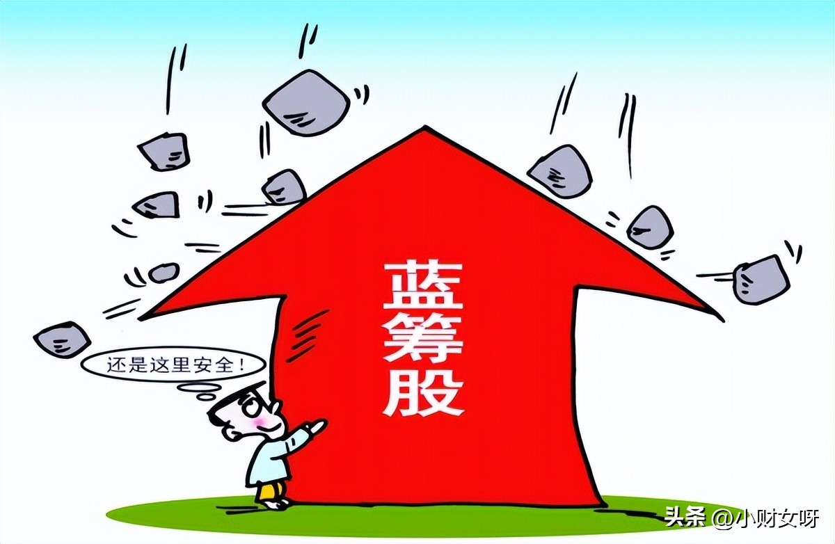 哪些是大盘蓝筹股,大盘蓝筹股是哪些股