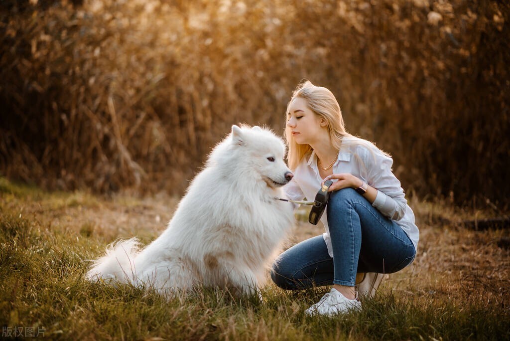 湿疹可以养狗吗,湿疹总反复和养狗有关吗