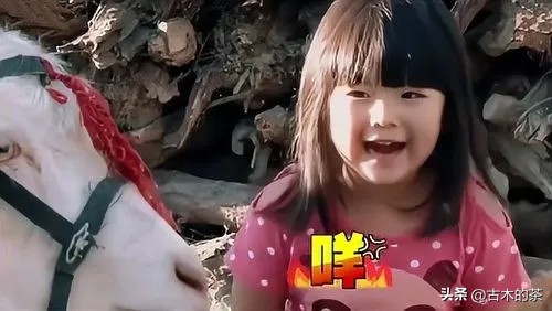 华为二公主姚安娜别墅,华为公主姚安娜现状