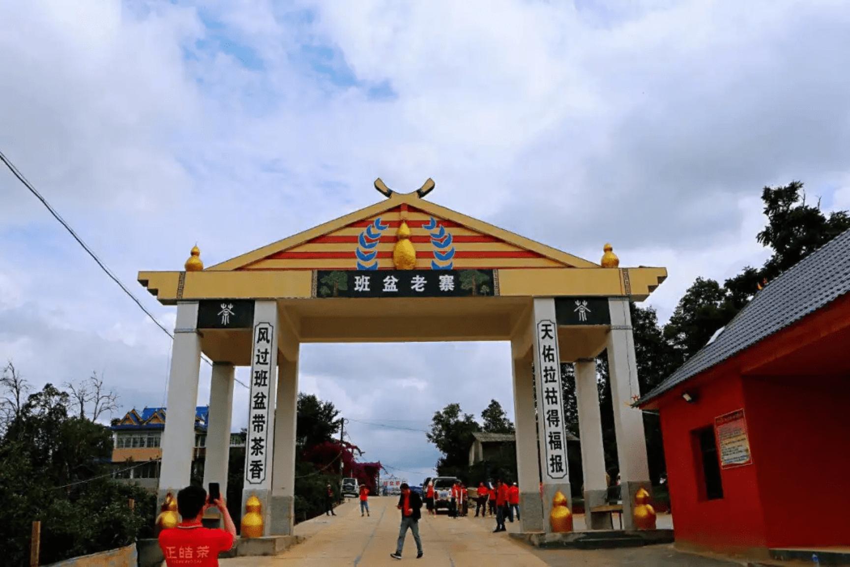 市面上常见的老班章,如何辨别老班章真假