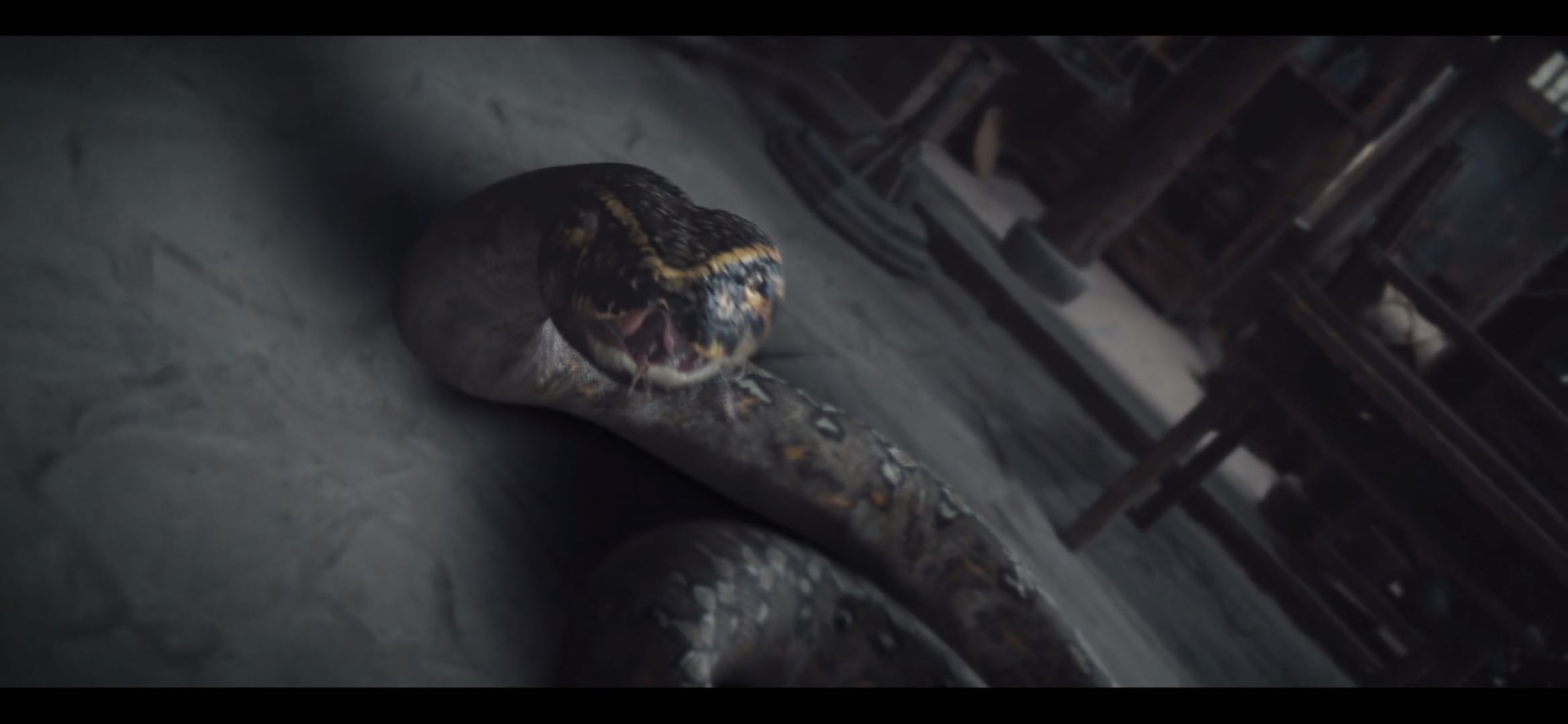 唐朝诡事录什么时候第二季,唐朝诡事录第一季第16集