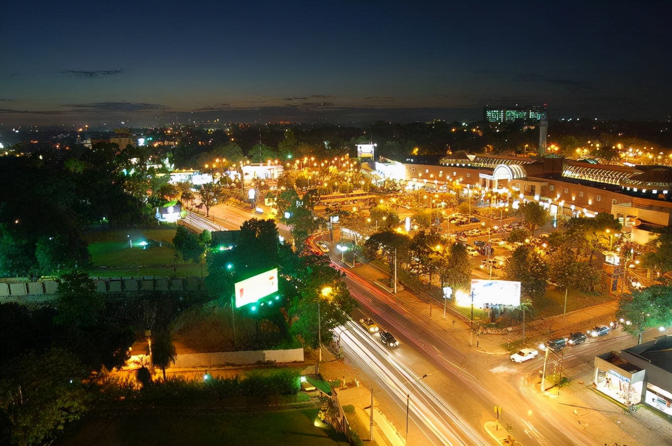 南美巴拉圭,南美巴拉圭苏木