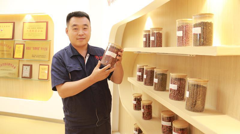 韩城太空无刺花椒苗,陕西韩城太空花椒有限公司