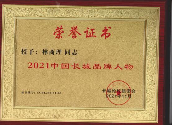 访江苏众汇电气工程有限公司董事长林商理