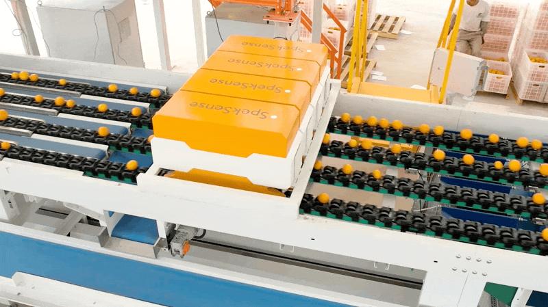 爱情的甜你尝过没,爱情的甜尝不了