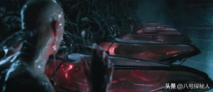 黑客帝国的经典电影,黑客帝国给电影带来了什么