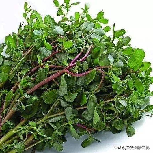 春天值得尝的4种野菜新鲜又营养,春天必吃四种野菜