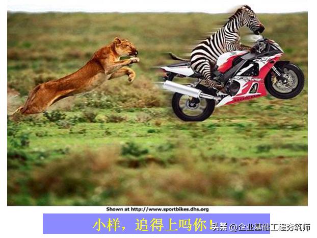 团队必修课态度和观念,培养团队意识团队凝聚力