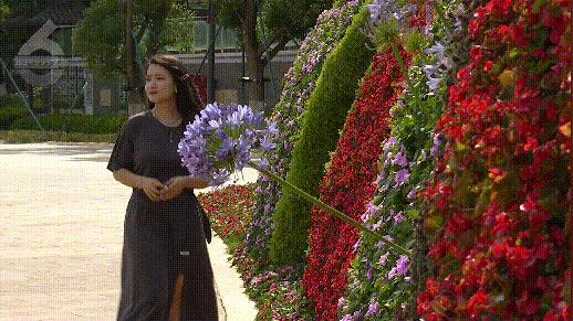 昆明植被覆盖情况,昆明市区植被覆盖率最高区域