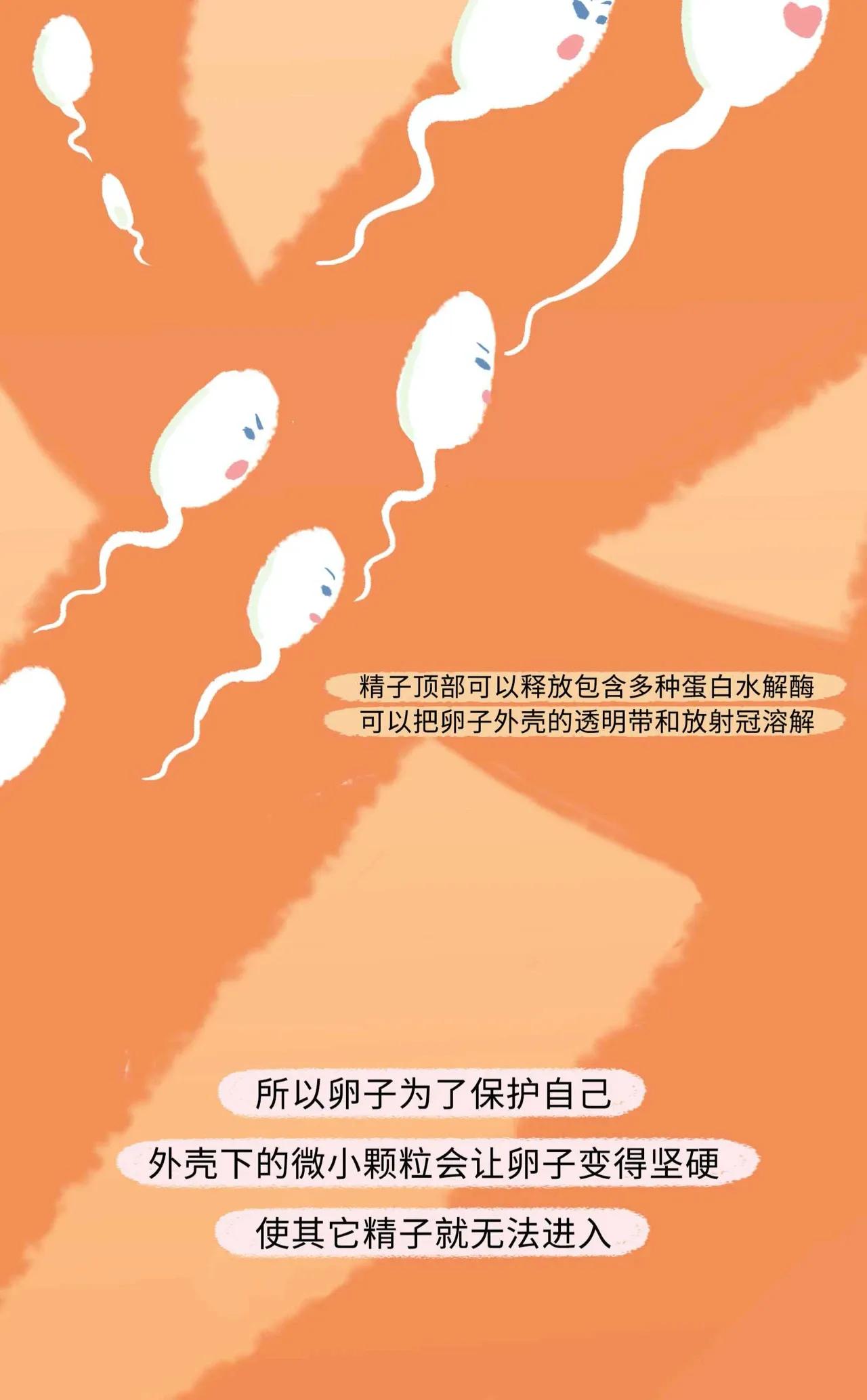 精子进入女生体内的全过程曝光！太励志了吧！
