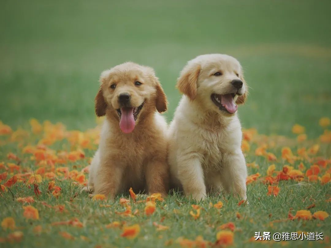 英语中例子的缩写是什么,一般举个例子用什么缩写代替