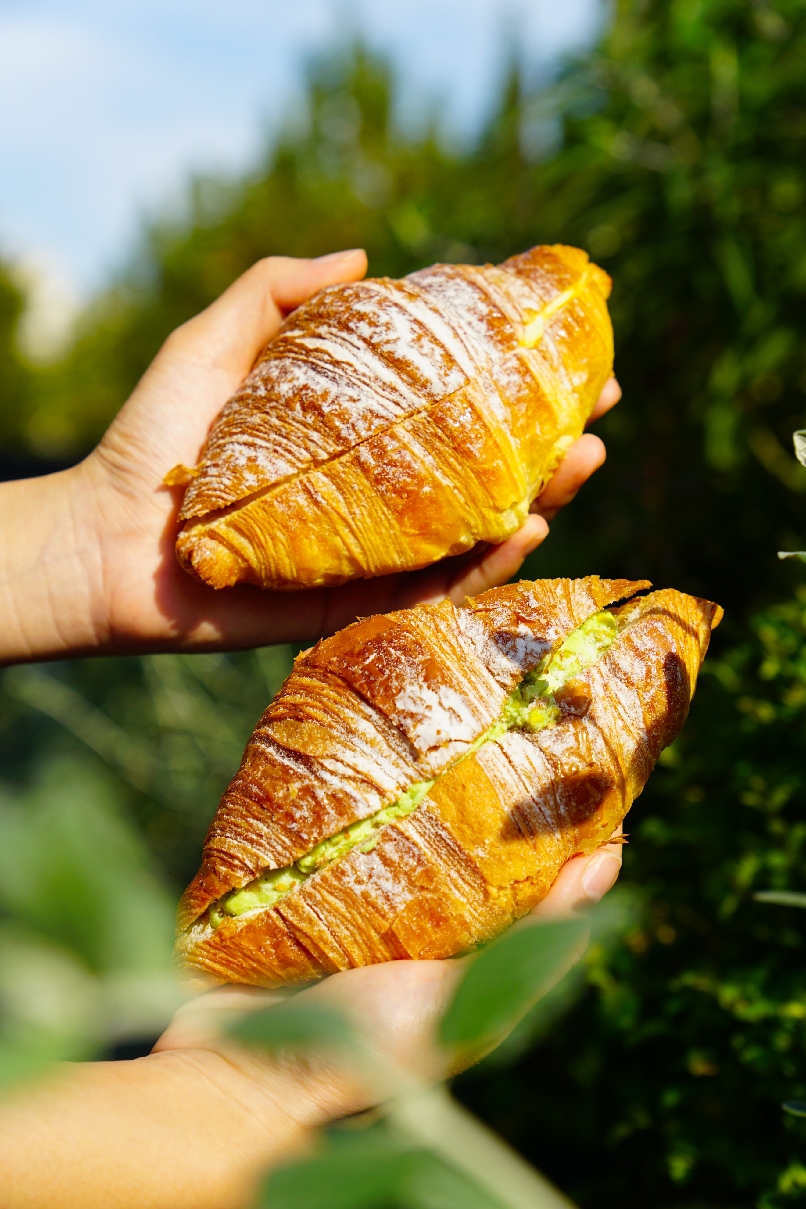 别再夸了，我真的怕抢不到