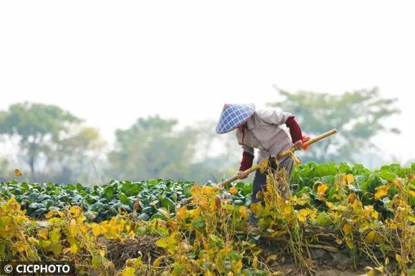 被生活逼得想让孩子成为留守儿童,不让孩子当留守儿童的两个方法