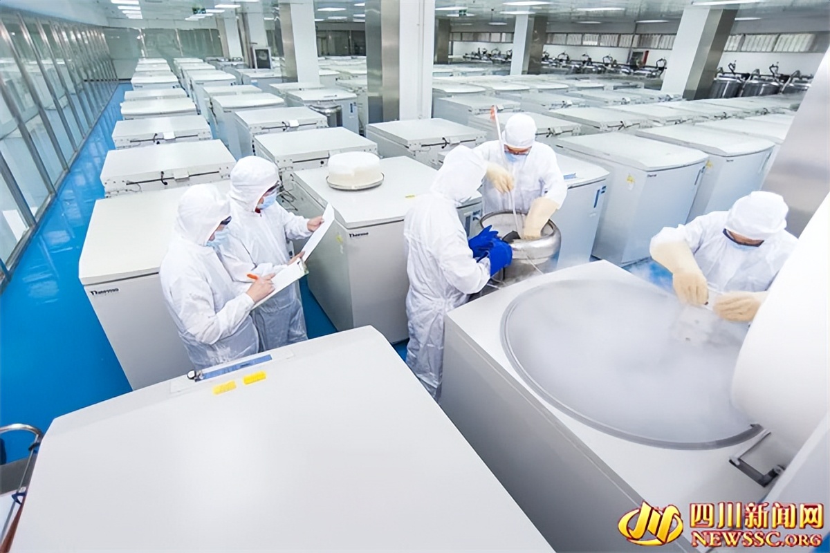 脐带血治疗血液病案例,脐带血治疗新突破