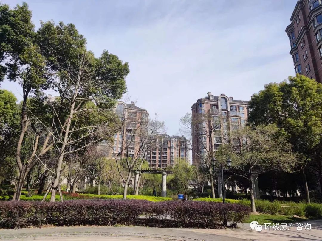 浦东金杨：一代刚需王者的陨落