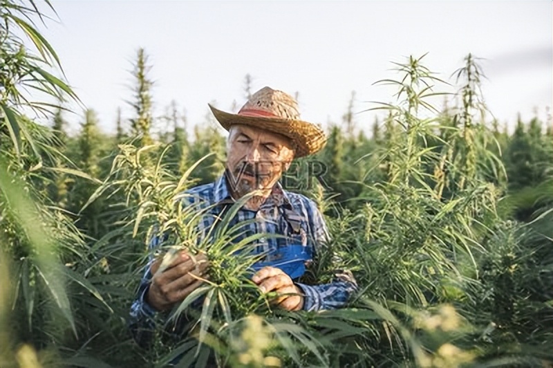 你代购的最不靠谱的东西是什么,你代购的大牌是真的吗