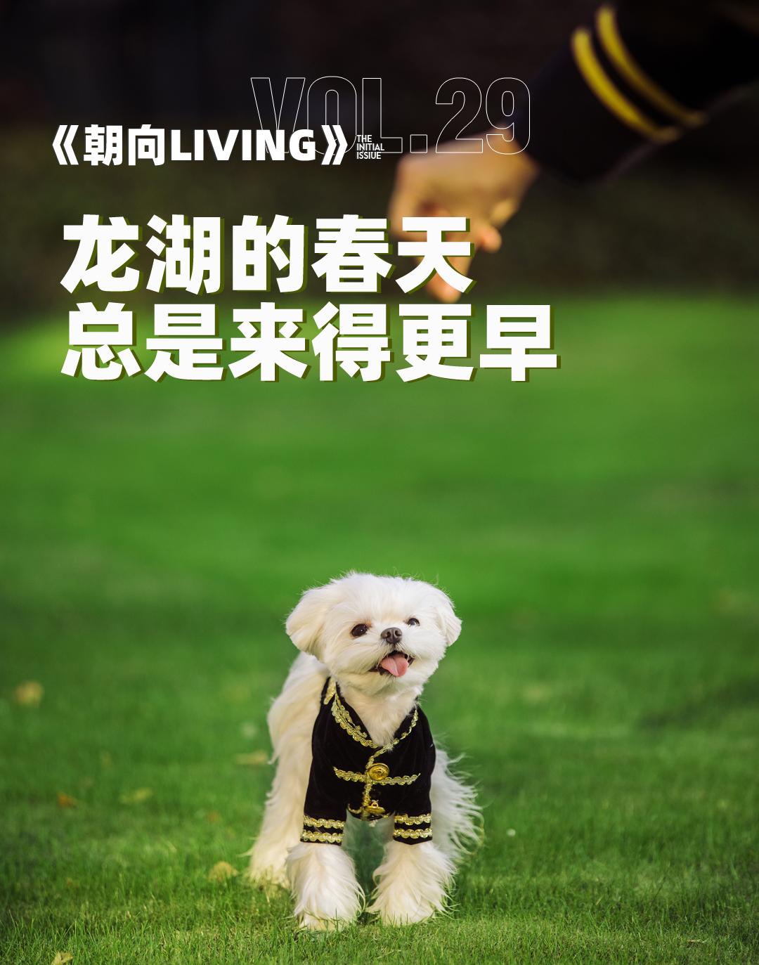 为什么龙湖的房子户型一直在迭代,为什么龙湖最好