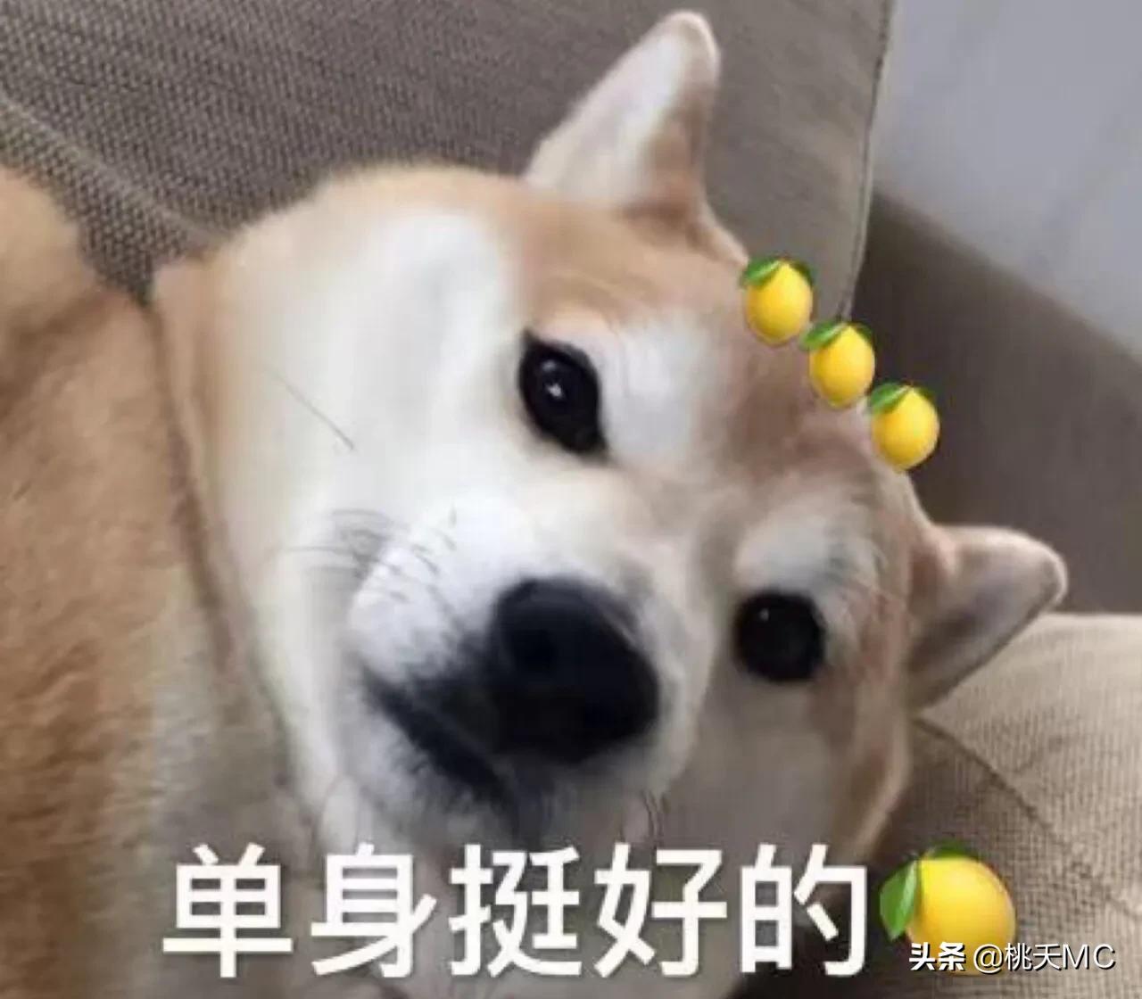 男人一辈子不结婚的生活,男人一辈子不恋爱会怎么样