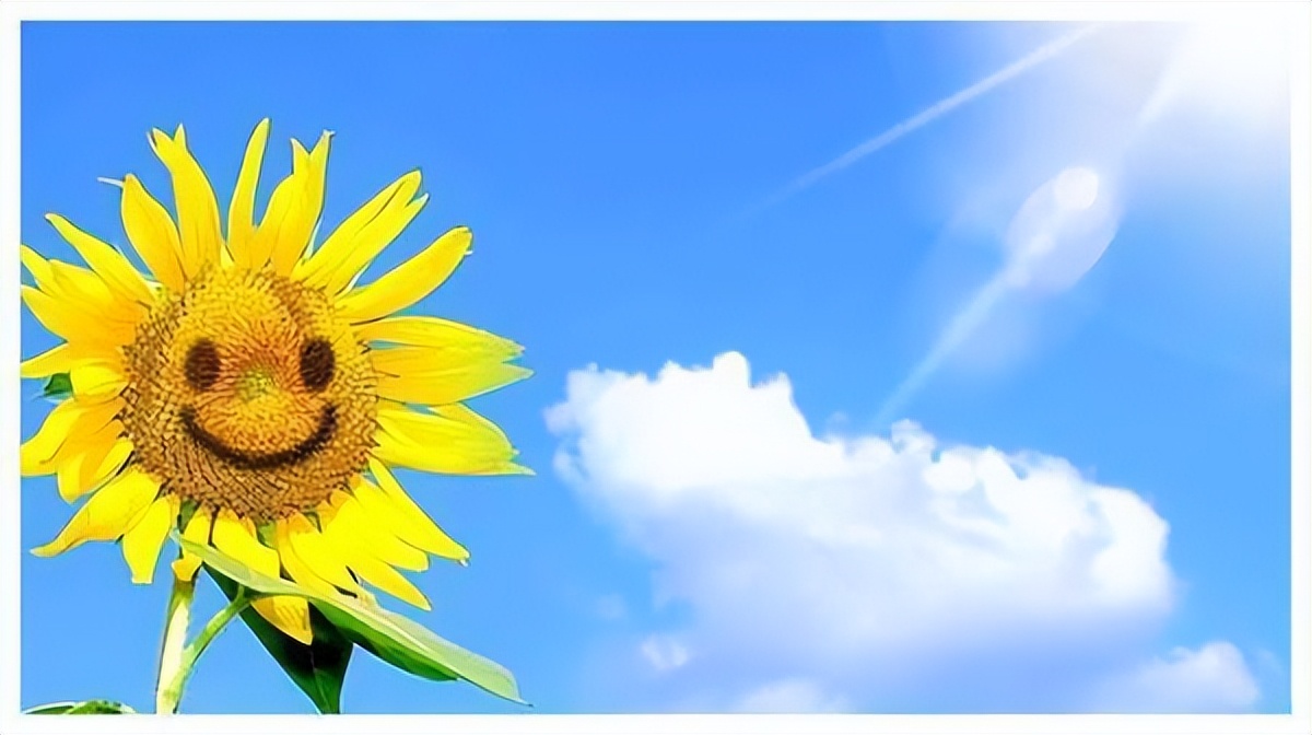 武汉软帝集团学员故事|大一新生4个月的影视剪辑学习感悟