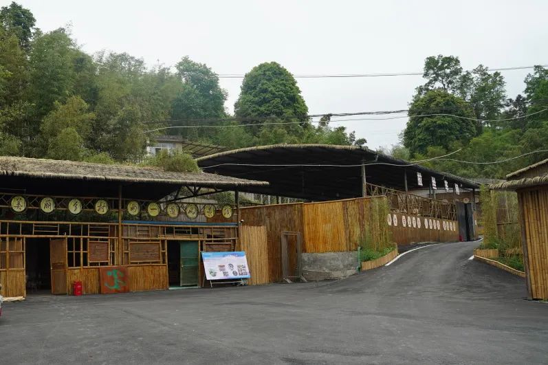 记乡村振兴致富带头人,致富带头人乡村振兴