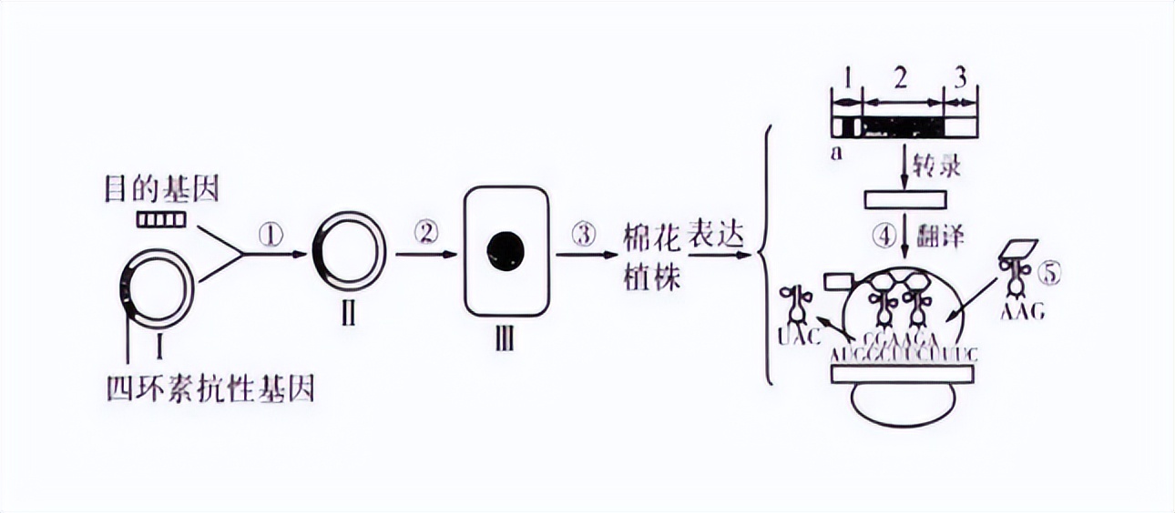 脱除有机硫为什么要用高压法,脱硫去除氯离子的办法
