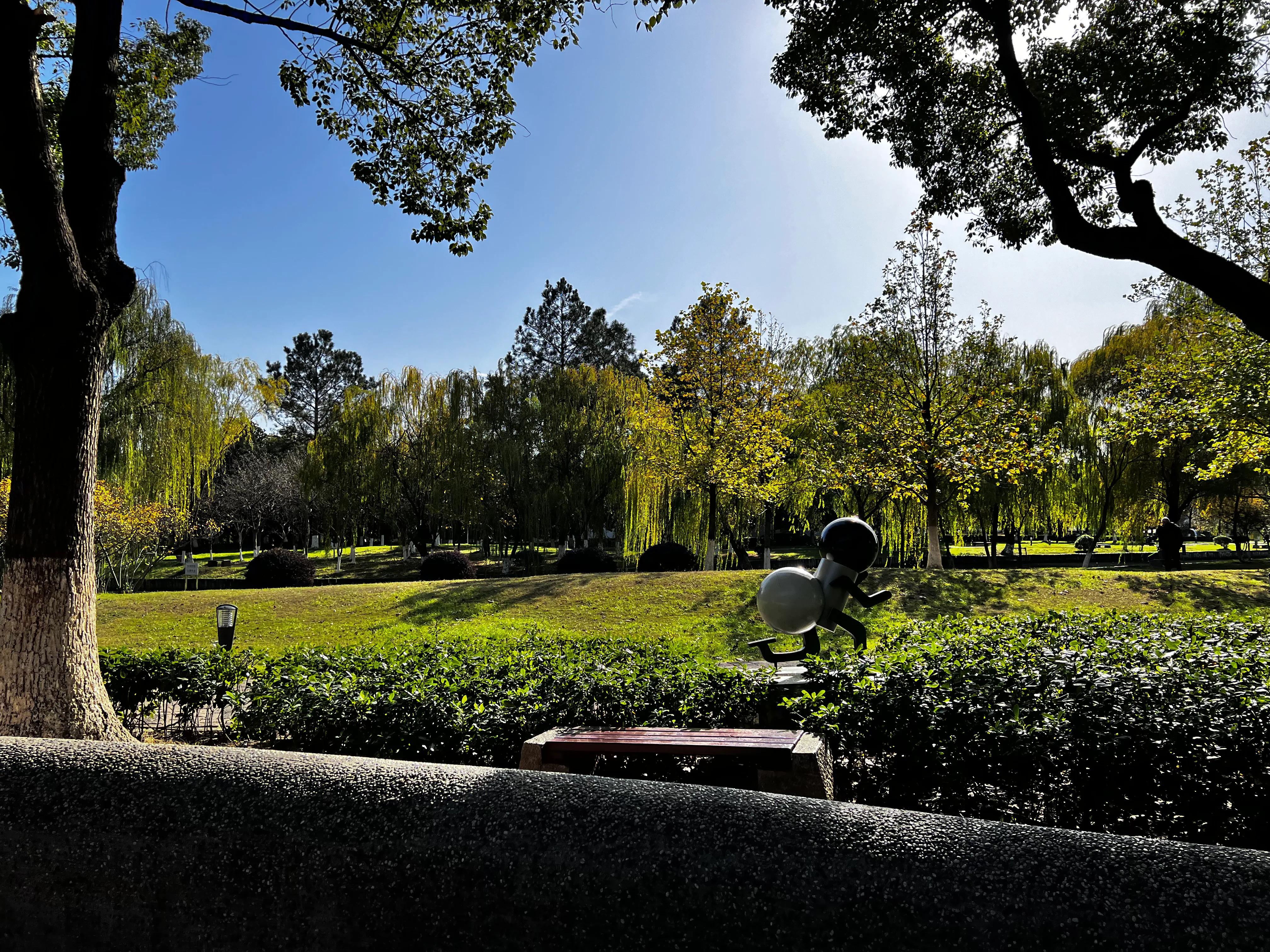 苏州尼盛万丽，躺平后的酒店现状