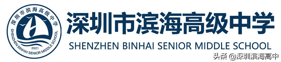学校艺术比赛捷报,宝安区第九届学校艺术汇报演出