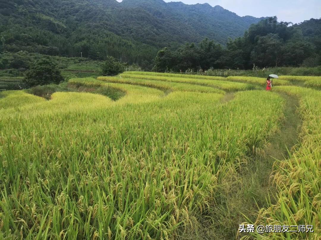 从化吕田一日游必去景点,从化溪头村自驾徒步攻略