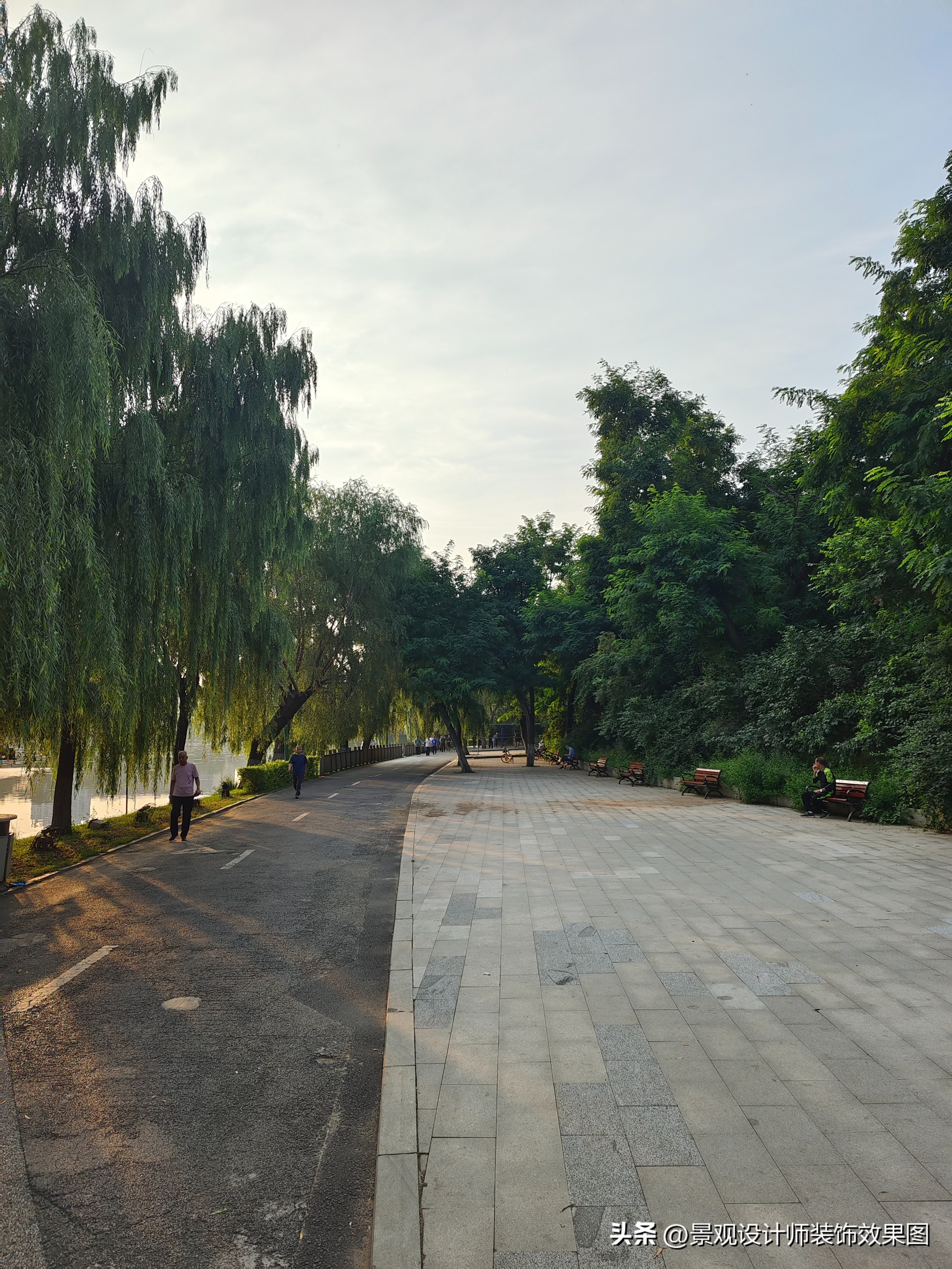 沈阳青年公园所在地,沈阳青年公园