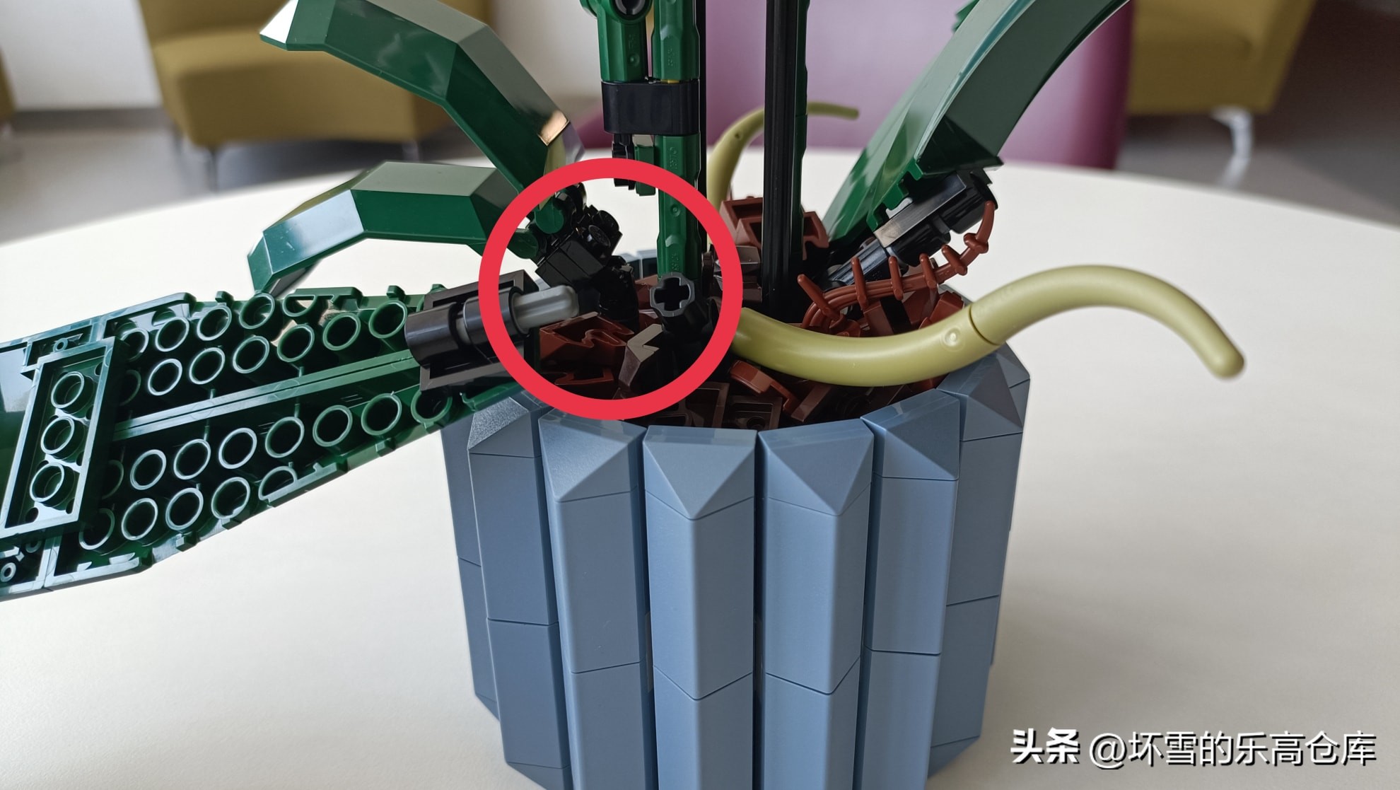 乐高兰花图片及价格,乐高兰花测评