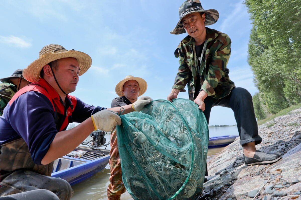 大闸蟹整塘死亡，蟹农损失严重，螃蟹要涨价？网友热议
