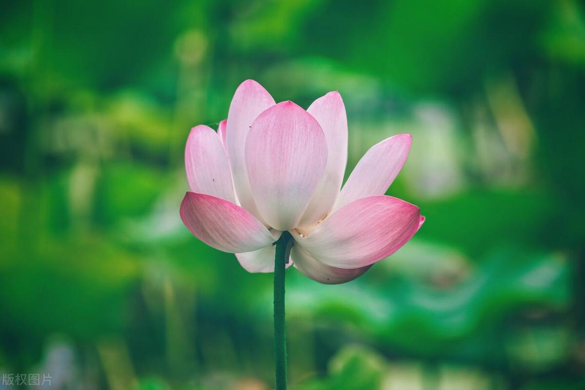 最能够品味孤独感的三大星座,强大孤独却又清醒的三个星座