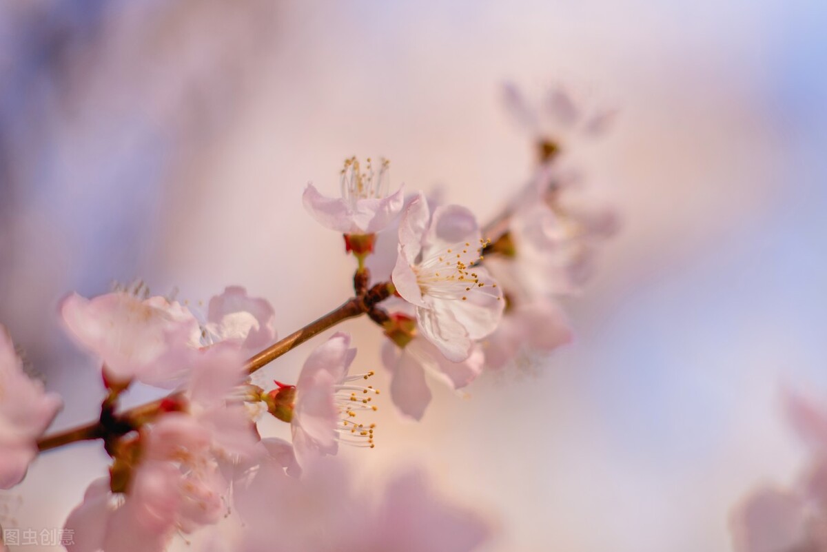 寓言小故事大道理感悟人生,一则通俗易懂的寓言故事